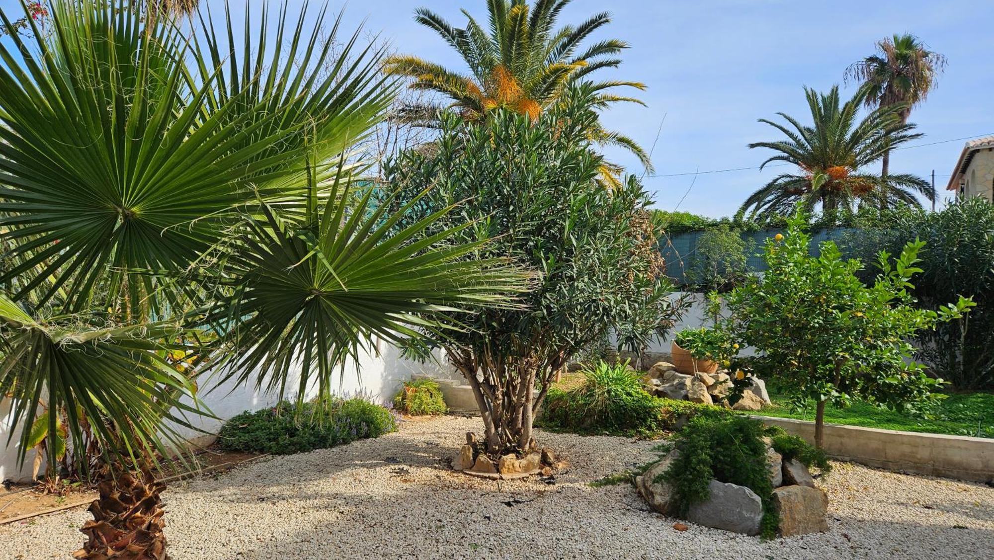 Altomira Villa Dénia Eksteriør billede