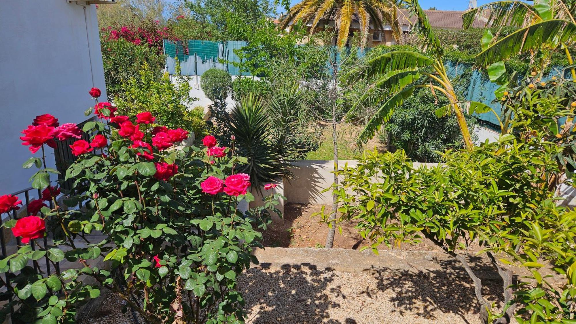 Altomira Villa Dénia Eksteriør billede