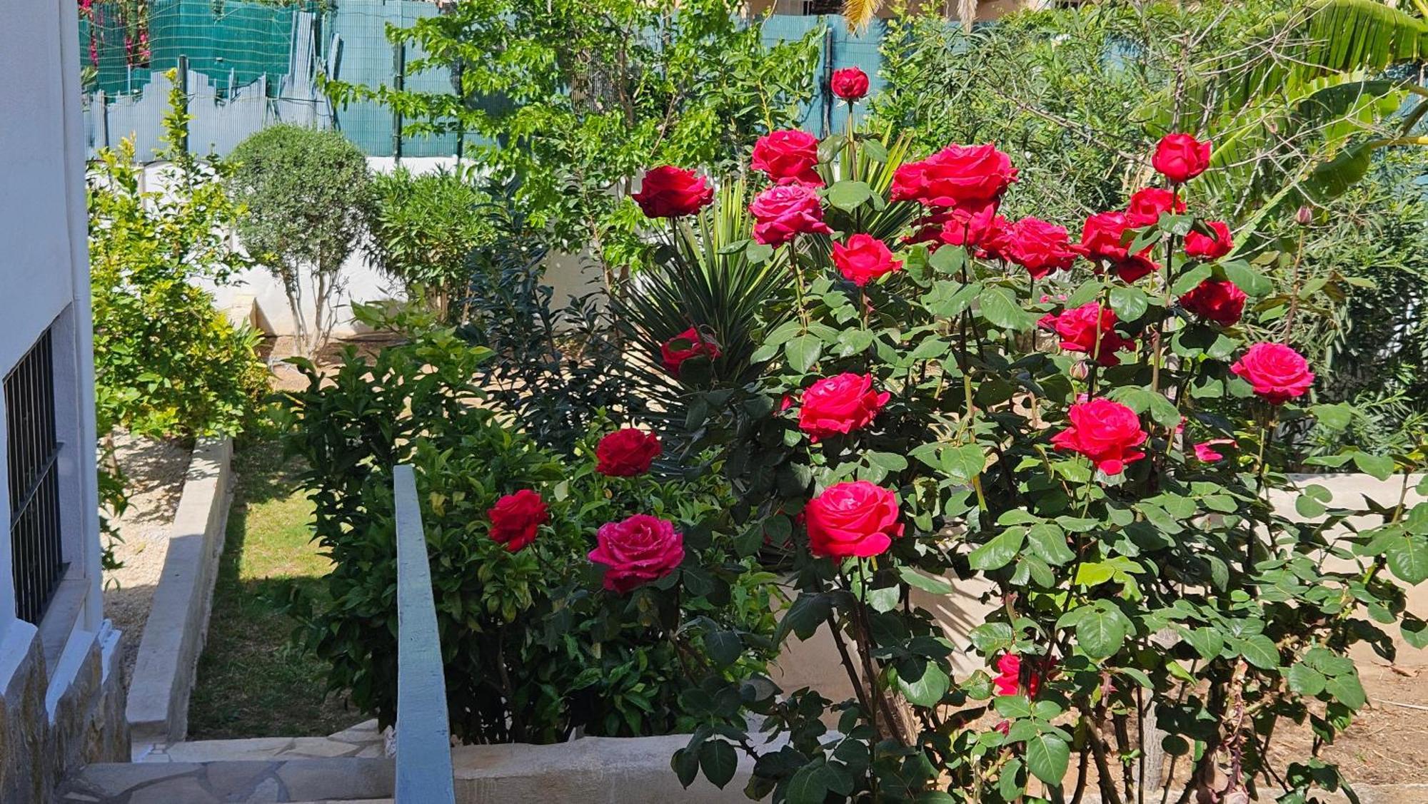 Altomira Villa Dénia Eksteriør billede